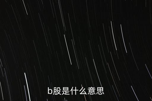 b股是什么意思