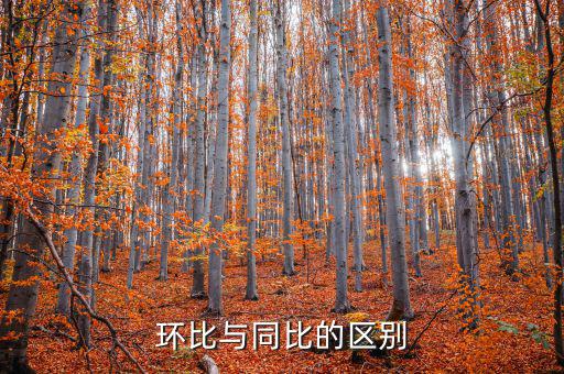 環(huán)比與同比的區(qū)別