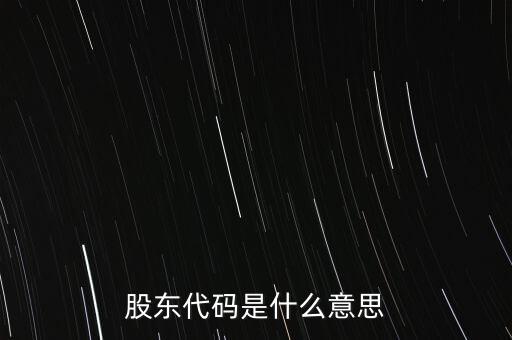 股東代碼是什么意思