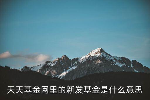 什么是新發(fā)基金，什么是次新基金