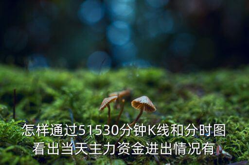 怎樣通過51530分鐘K線和分時圖看出當天主力資金進出情況有