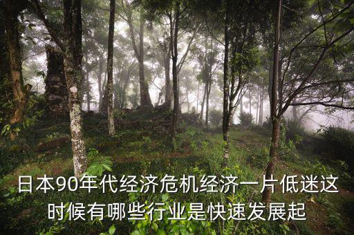 日本90年代經(jīng)濟(jì)危機(jī)經(jīng)濟(jì)一片低迷這時(shí)候有哪些行業(yè)是快速發(fā)展起