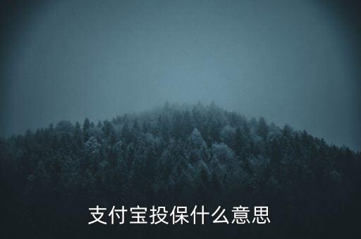 支付寶投保什么意思