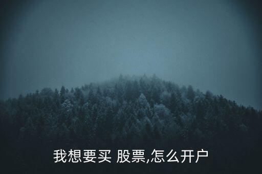 我想要買 股票,怎么開戶