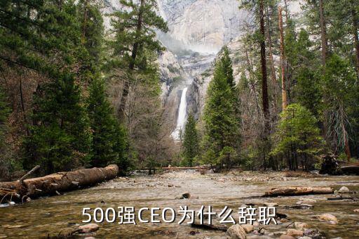 羅建川為什么辭職，500強(qiáng)CEO為什么辭職