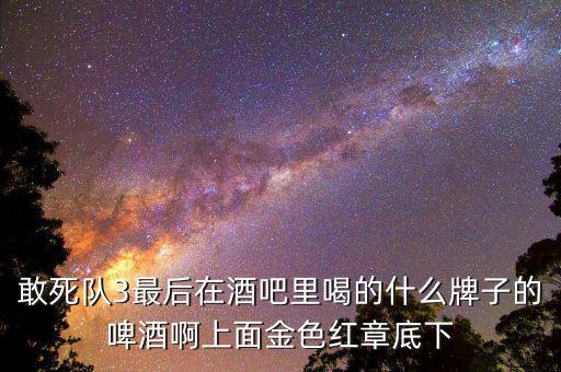 敢死隊(duì)3喝的什么啤酒，敢死隊(duì)3酒吧里吃的這是什么