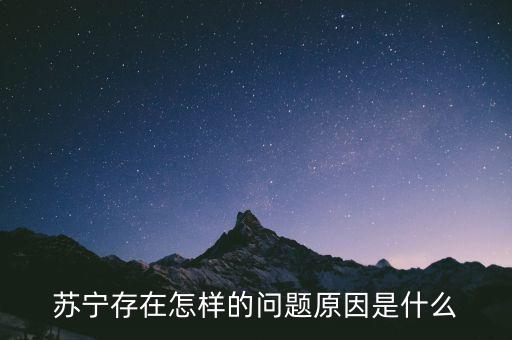 蘇寧存在怎樣的問題原因是什么