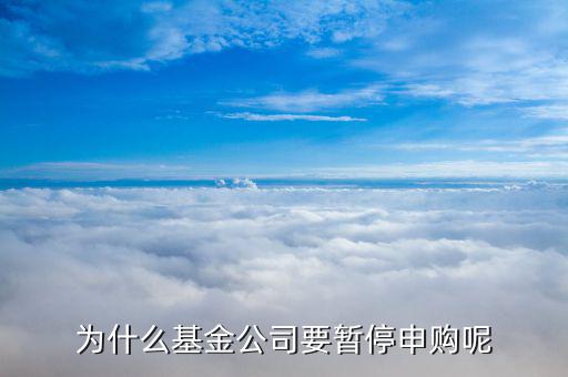 基金為什么暫停申購，001719基金為什么暫停申購