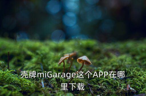 殼牌miGarage這個(gè)APP在哪里下載