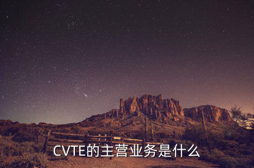 CVTE的主營業(yè)務是什么