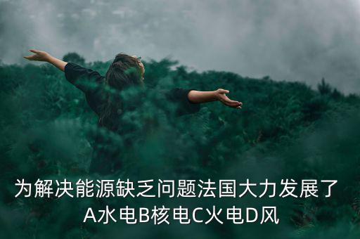 為解決能源缺乏問題法國大力發(fā)展了  A水電B核電C火電D風