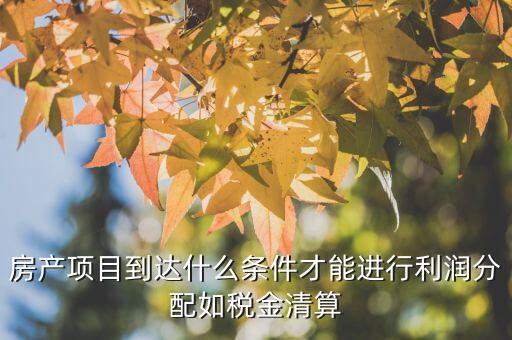 房產(chǎn)項目到達(dá)什么條件才能進(jìn)行利潤分配如稅金清算