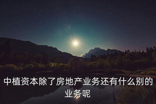 中國除了房地產(chǎn)還有什么，中植資本除了房地產(chǎn)業(yè)務(wù)還有什么別的業(yè)務(wù)呢