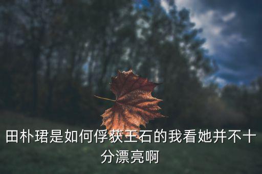 田樸君什么氣質(zhì)把王石迷住，田樸珺是如何俘獲王石的我看她并不十分漂亮啊