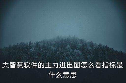 大智慧主力動(dòng)向指標(biāo)是什么意思，大智慧軟件的主力進(jìn)出圖怎么看指標(biāo)是什么意思