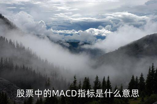 股票中的MACD指標是什么意思