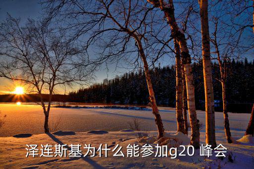 澤連斯基為什么能參加g20 峰會