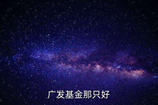 廣發(fā)基金那只好