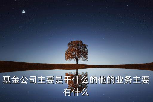 基金公司主要是干什么的他的業(yè)務(wù)主要有什么