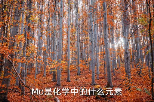 Mo是化學中的什么元素