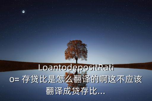 LoantodepositRatio= 存貸比是怎么翻譯的啊這不應(yīng)該翻譯成貸存比...