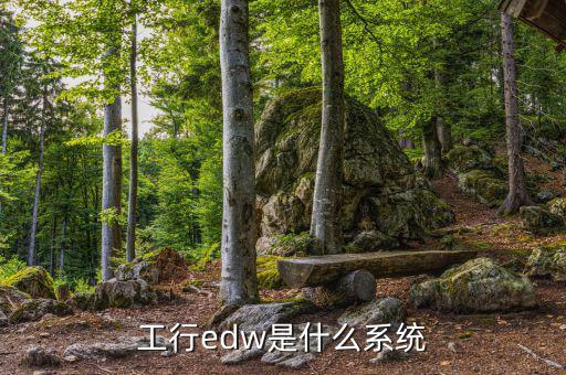 工行edw是什么系統(tǒng)