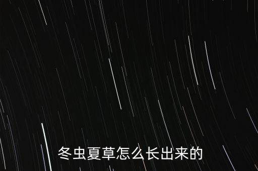 冬蟲夏怎么刷,冬蟲夏草怎么吃?注意事項1