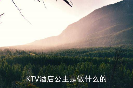 酒店出臺是干什么的，KTV酒店公主是做什么的