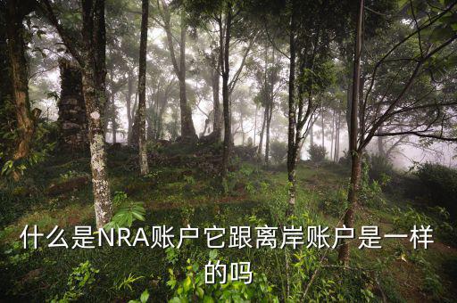 什么是nra賬戶，nra賬戶與離岸賬戶有什么區(qū)別