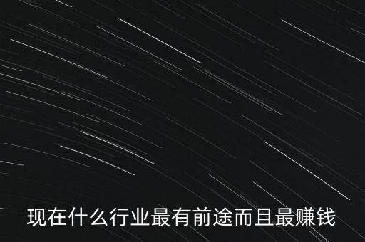 現(xiàn)在什么行業(yè)最有前途而且最賺錢