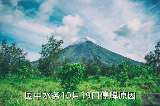 2015年10月江蘇索普為什么停牌，國中水務10月19曰停牌原因