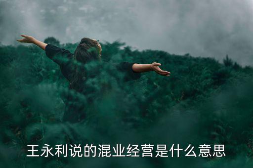 王永利說的混業(yè)經(jīng)營是什么意思