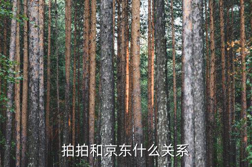 京東什么時(shí)候收購的拍拍網(wǎng)，拍拍網(wǎng)是騰訊的還是京東的啊