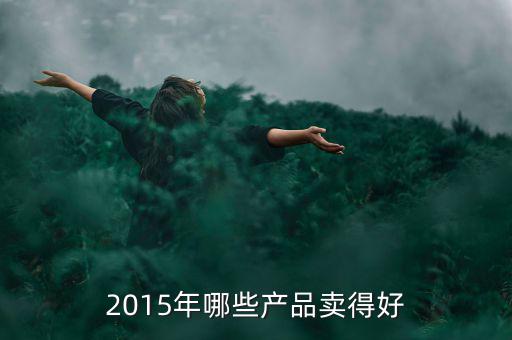 2015年哪些產(chǎn)品賣得好