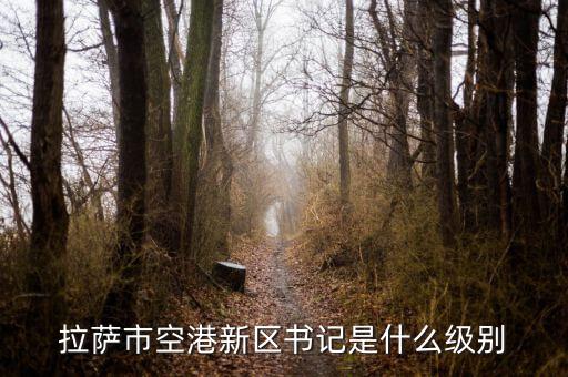 王道富什么級(jí)別，拉薩市空港新區(qū)書(shū)記是什么級(jí)別