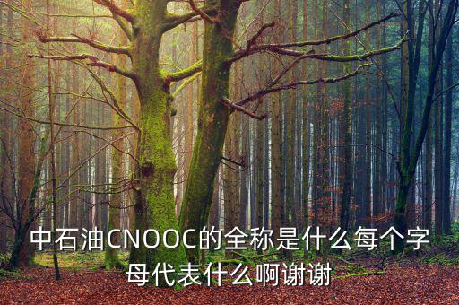 中石油CNOOC的全稱是什么每個字母代表什么啊謝謝