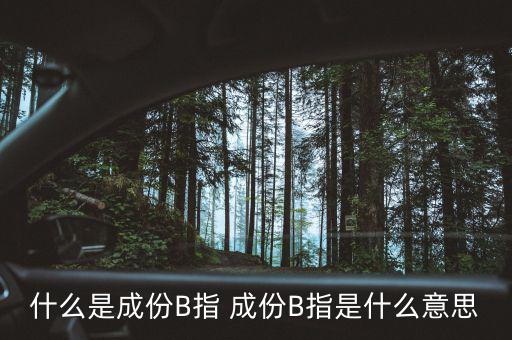 什么是成份B指 成份B指是什么意思