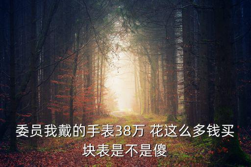 委員我戴的手表38萬(wàn) 花這么多錢買塊表是不是傻