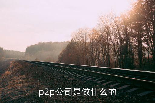 p2p機構是什么，P2P是什么