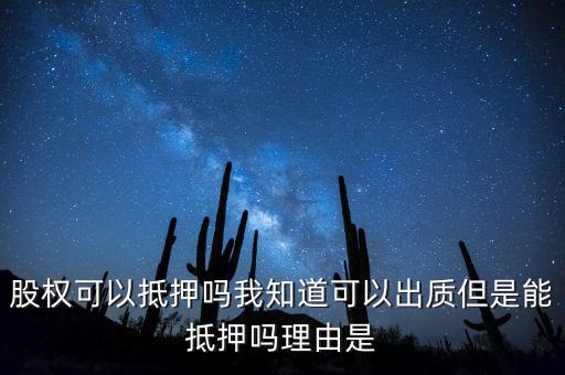 股權(quán)為什么不能抵押，股權(quán)可不可以進行抵押