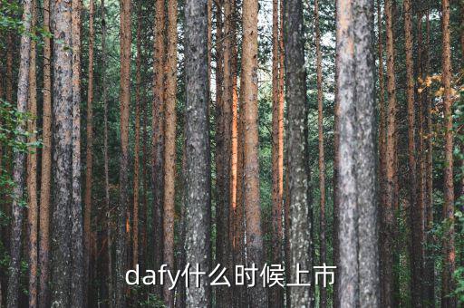 dafy什么時(shí)候上市