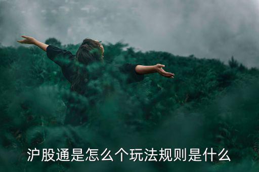 滬股通是怎么個玩法規(guī)則是什么