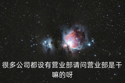 很多公司都設(shè)有營業(yè)部請(qǐng)問營業(yè)部是干嘛的呀