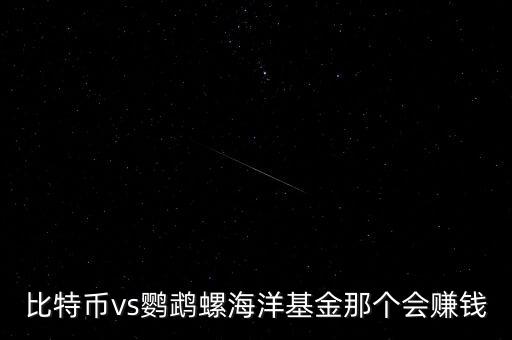 比特幣vs鸚鵡螺海洋基金那個(gè)會(huì)賺錢(qián)