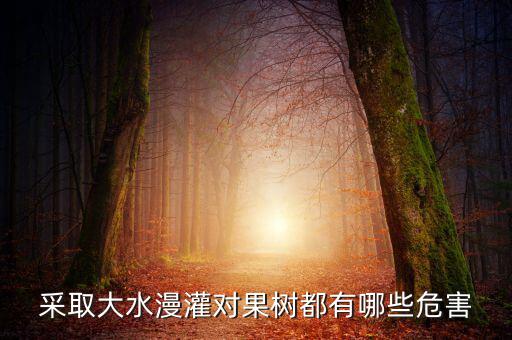 廣西地區(qū)大水漫灌導(dǎo)致什么，在干旱半干旱地區(qū)采取大水漫灌的灌溉方式可能會(huì)導(dǎo)致土地鹽漬化