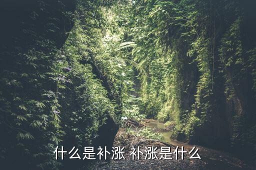 什么是補漲 補漲是什么