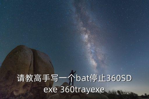 請教高手寫一個bat停止360SDexe 360trayexe