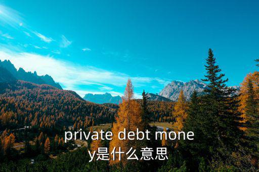 private debt money是什么意思