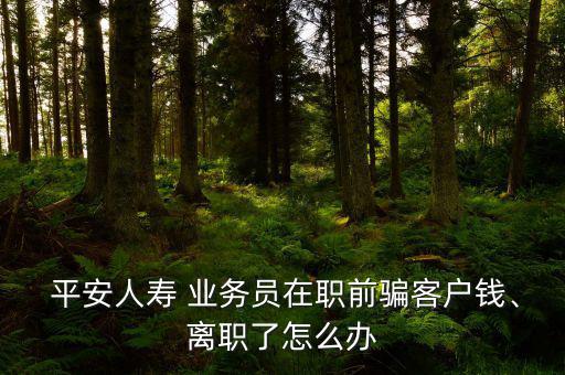  平安人壽 業(yè)務(wù)員在職前騙客戶錢、離職了怎么辦