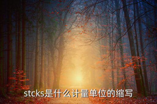 st是什么數(shù)量單位，數(shù)量單位用st表示是什么意思